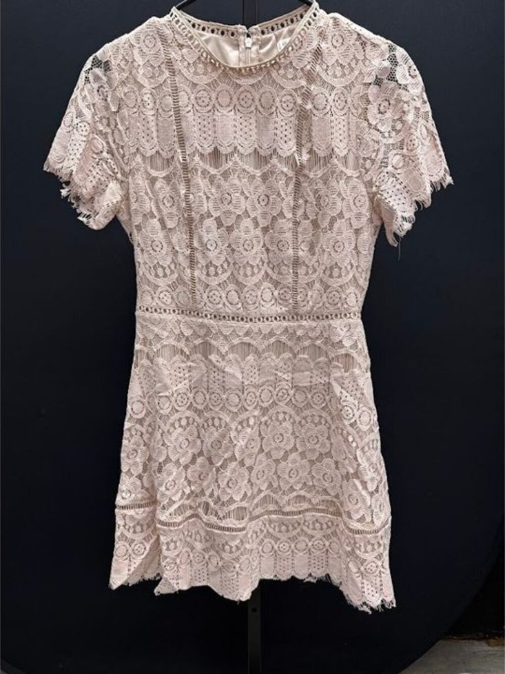 Blu Pepper Blush Pink Lace Mini Dress